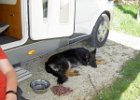 zomer hier! : Beau op campingjacht